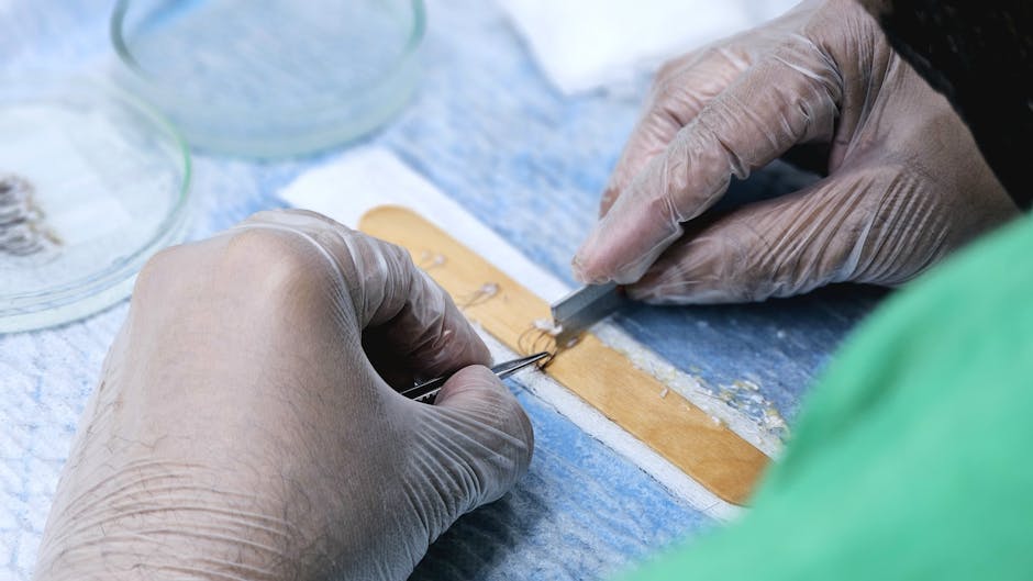 Detailed view of a hair transplant procedure with gloved hands holding surgical tools indoors.