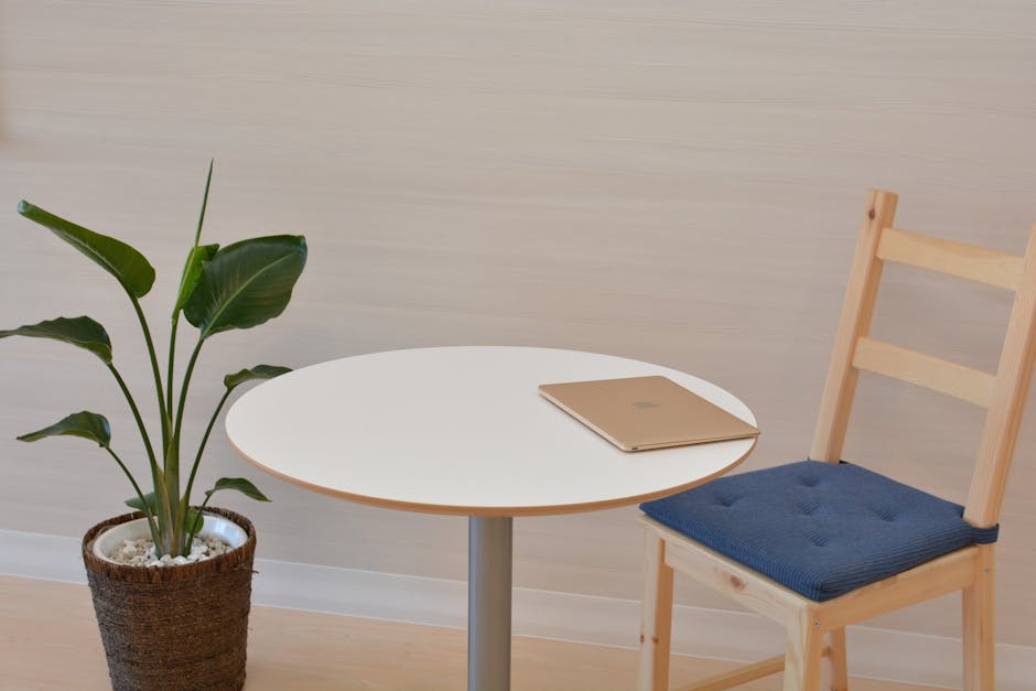 A sleek minimalist office space featuring a table with a laptop and a potted indoor plant beside a wooden chair.